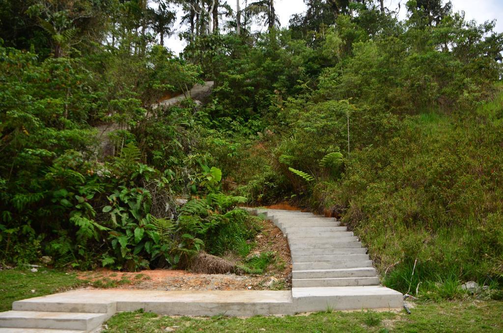 The Woodz Homestay Tanah Rata Eksteriør billede